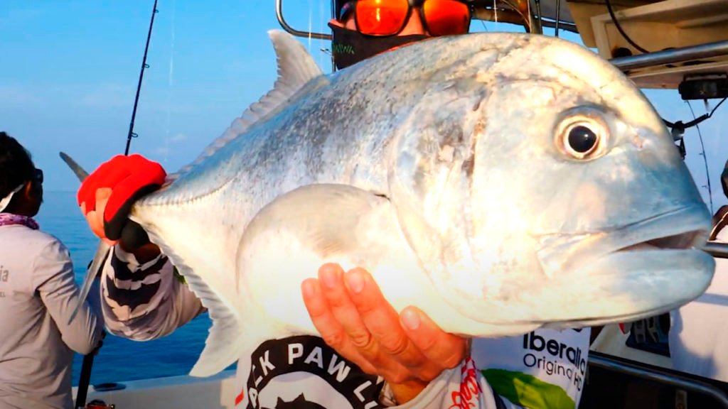 Gt Popping Jigging En Andaman Little Andaman Capitulo 2