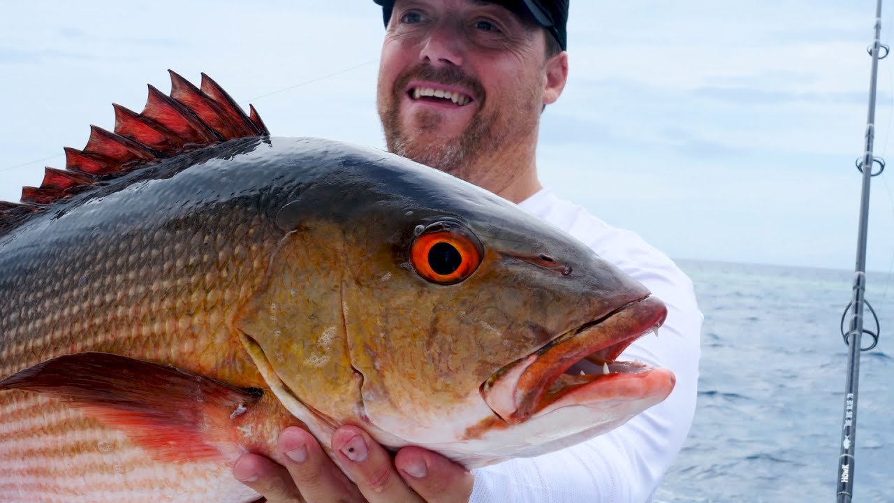 Gt Popping Jigging Maldivas 2019