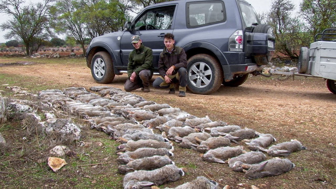 La Caza La Ayuda A La Agricultura