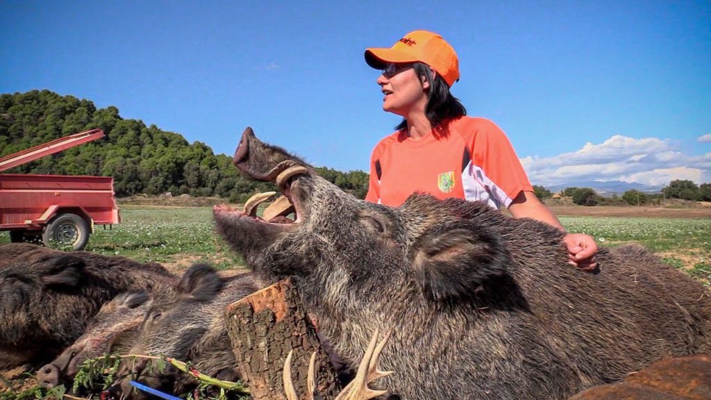 Monteria De Mujeres