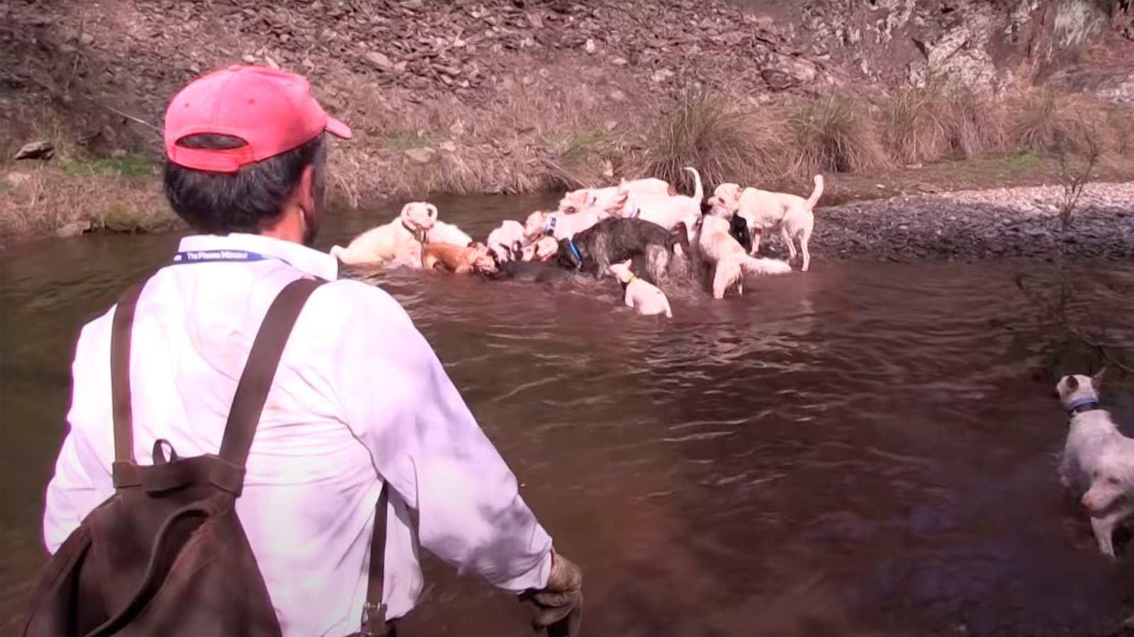 Monteria Pajaron Tras 3 Anos De Exito 2