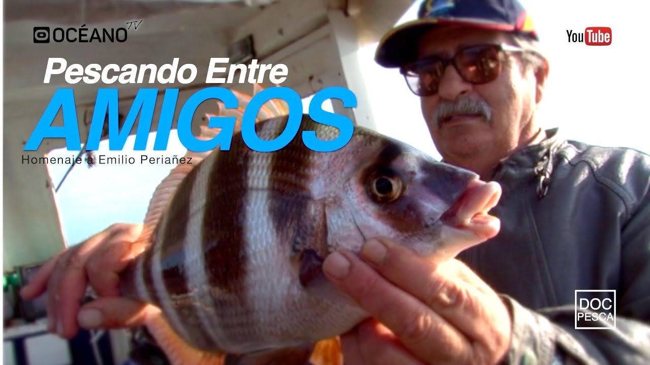 Pescando Entre Amigos Pesca Desde Embarcacion Fondeada