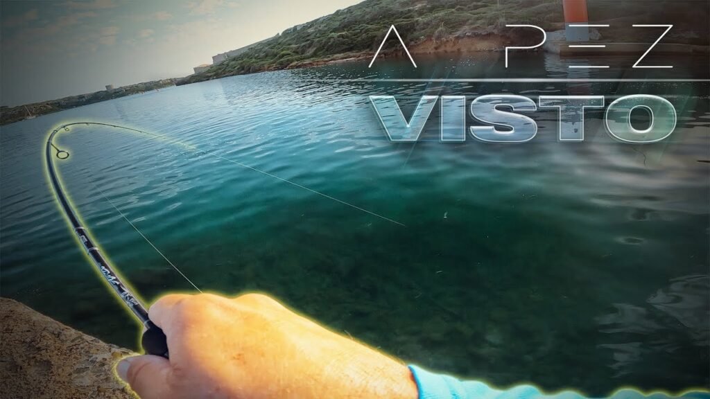 1      ⮆ CARÁNGIDOS en Superficie -  MEROS a pez VISTO [   ] | Lured Vlog 263