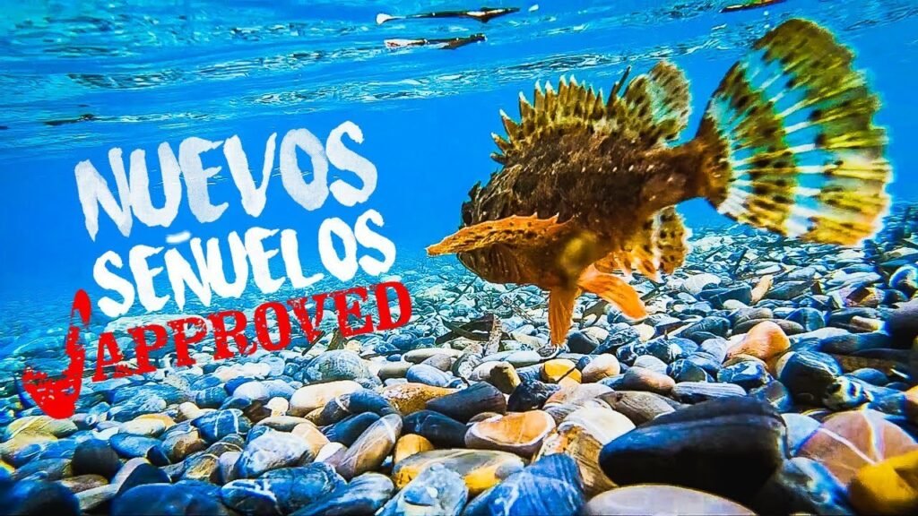 2 ESPECIES que NUNCA HABÍA CAPTURADO ahí [Probando NUEVOS SEÑUELOS de Rockfishing] | Lured Vlog 125