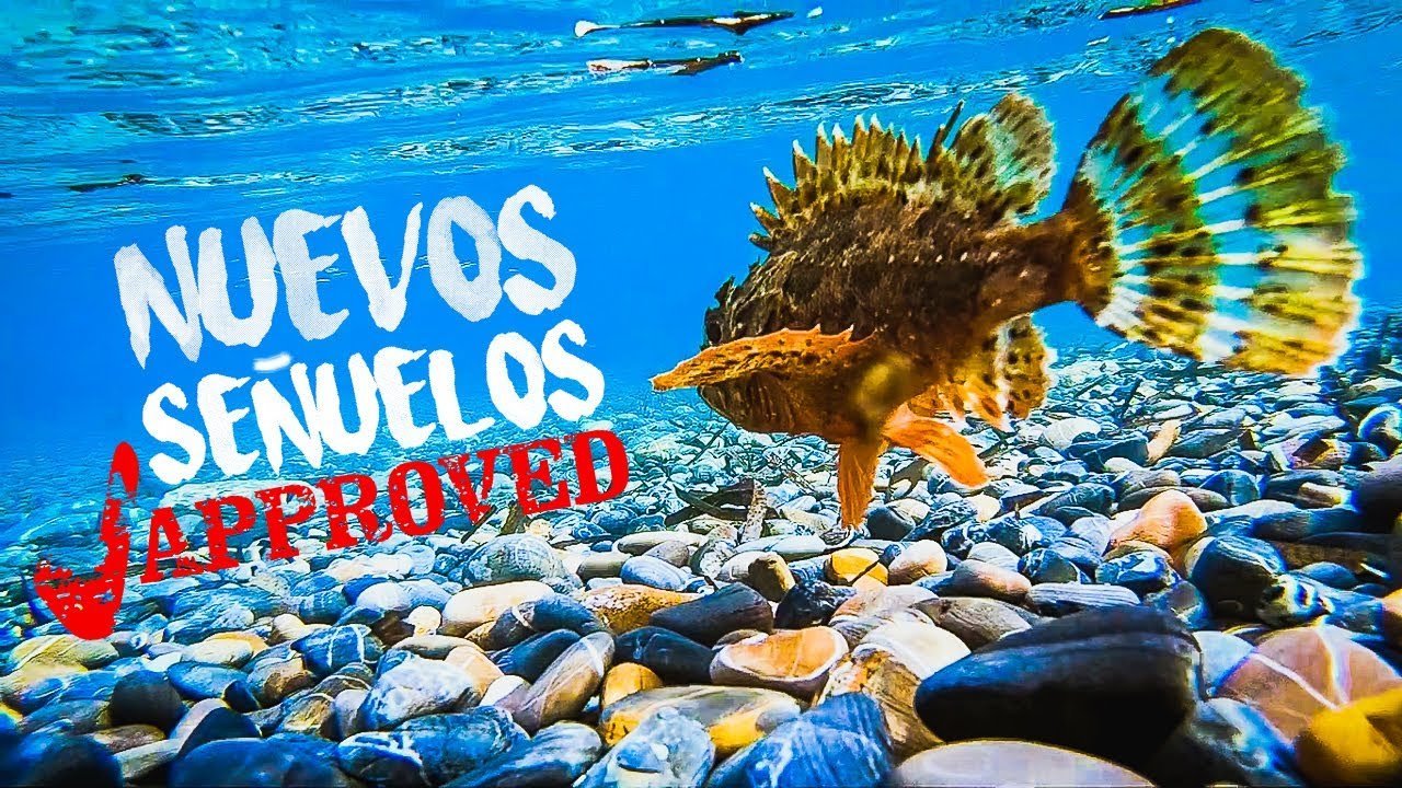 2 ESPECIES que NUNCA HABÍA CAPTURADO ahí [Probando NUEVOS SEÑUELOS de Rockfishing] | Lured Vlog 125