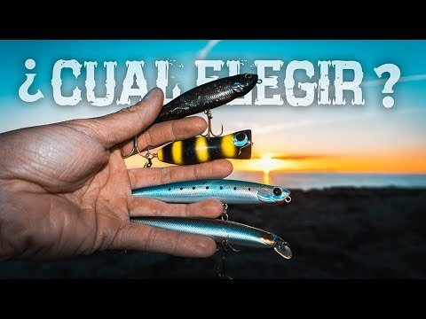 5 TIPS para ELEGIR SEÑUELO de PESCA