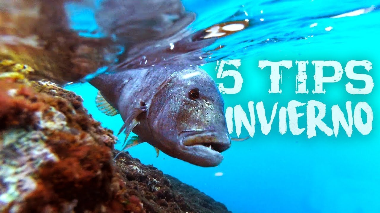 5 TIPS Spinning en INVIERNO