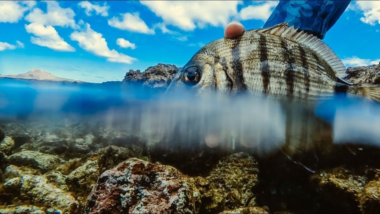 90min de CRANKING sin parar [RAW Fishing] | Lured Vlog 317