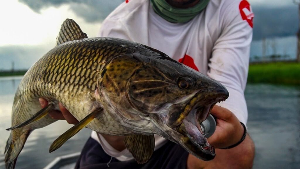 Amazonas Experience Cap. 1 | En BUSCA de PECES PREHISTÓRICOS⚠