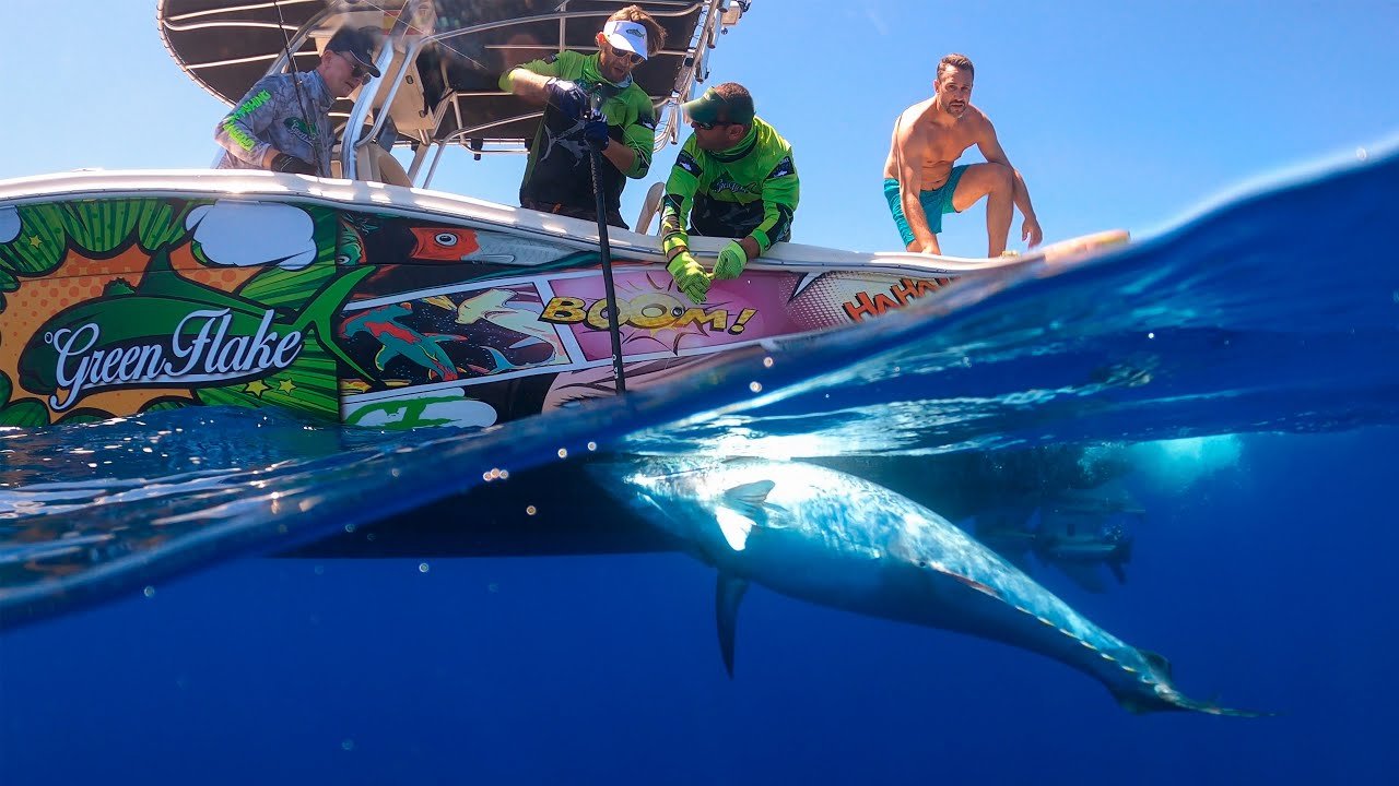 ATUN GIGANTE A BRUMEO | Monster expedition Valencia