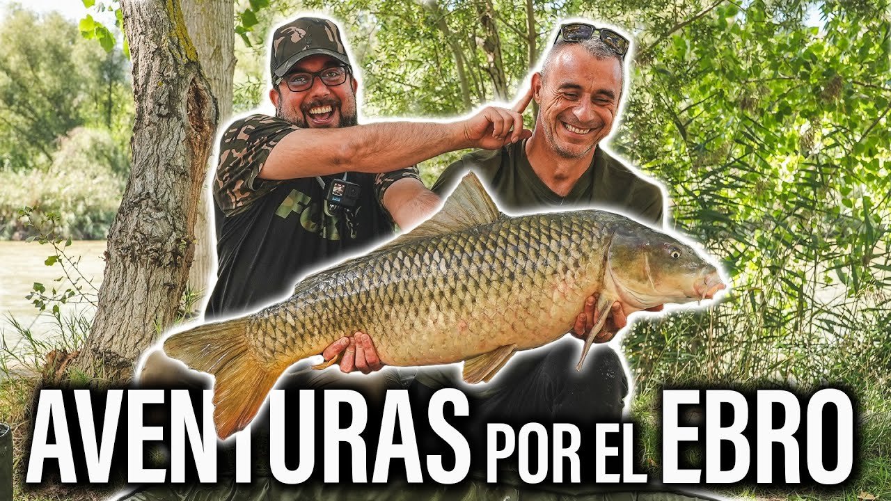 AVENTURAS POR EL EBRO. CARPFISHING TV
