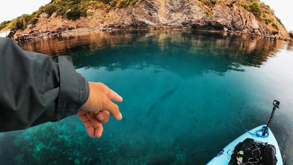 BANCOS de PECES en agua ULTRA CRISTALINA [La REALIDAD de la PESCA #1] | Lured Vlog 164