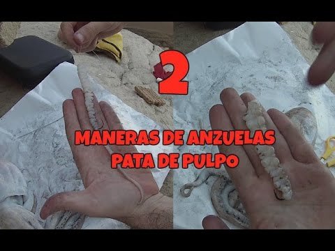Barracudo- 2 maneras de anzuelar PATA DE PULPO