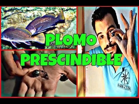 Barracudo- Aparejo "Plomo prescindible"