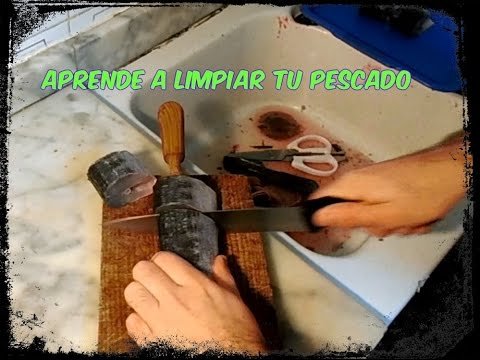 Barracudo- Aprende a limpiar tu pescado