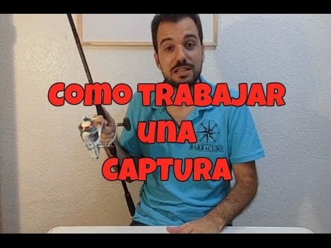 Barracudo- Como trabajar una captura a (Spinning)