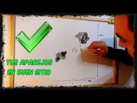 Barracudo-¿Donde lanzar mis aparejos?