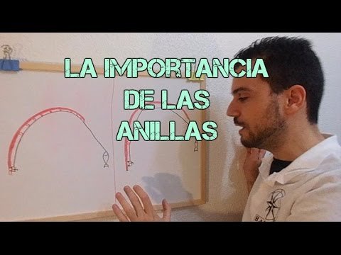 Barracudo- La importancia de las ANILLAS