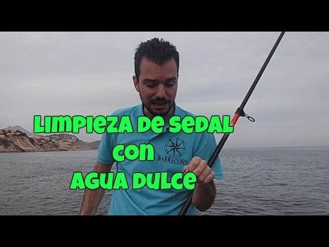 Barracudo- Limpieza del sedal y un amiguito en el camino