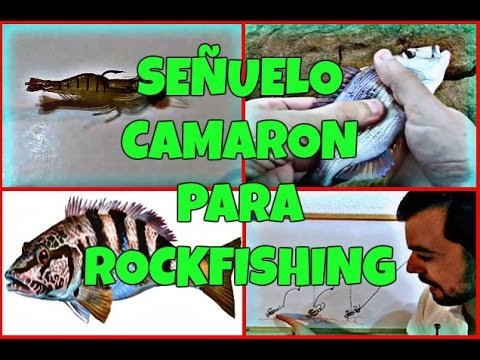 Barracudo- Señuelo camaron para rockfishing