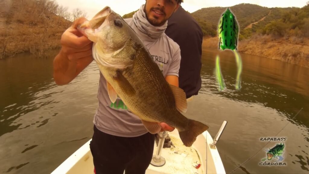 Bass Fishing with Topwater Frog | HD