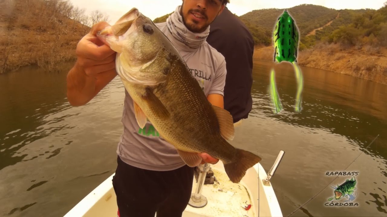 Bass Fishing with Topwater Frog | HD