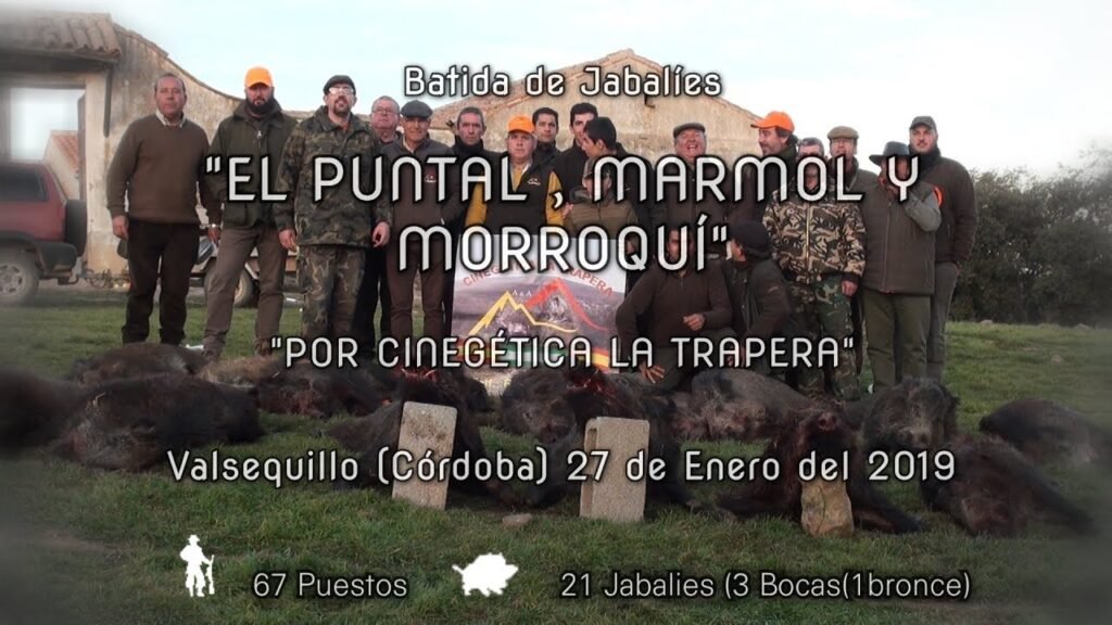 BATIDA DE JABALÍES EN EL PUNTAL, MÁRMOL Y EL MORROQUI Día 27 Enero del 2019 .