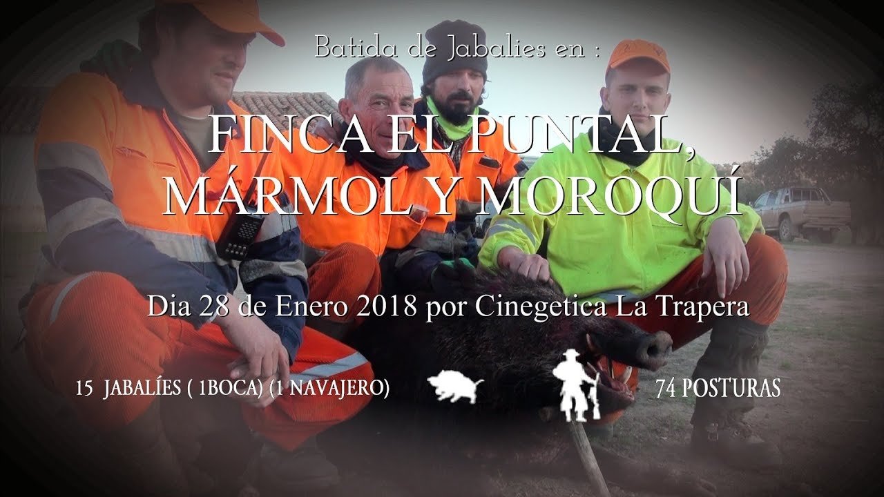 BATIDA DE JABALIES EN  FINCA EL PUNTAL  , MARMOL Y MOROQUI POR CINEEGTICA LA TRAPERA  28/01/18