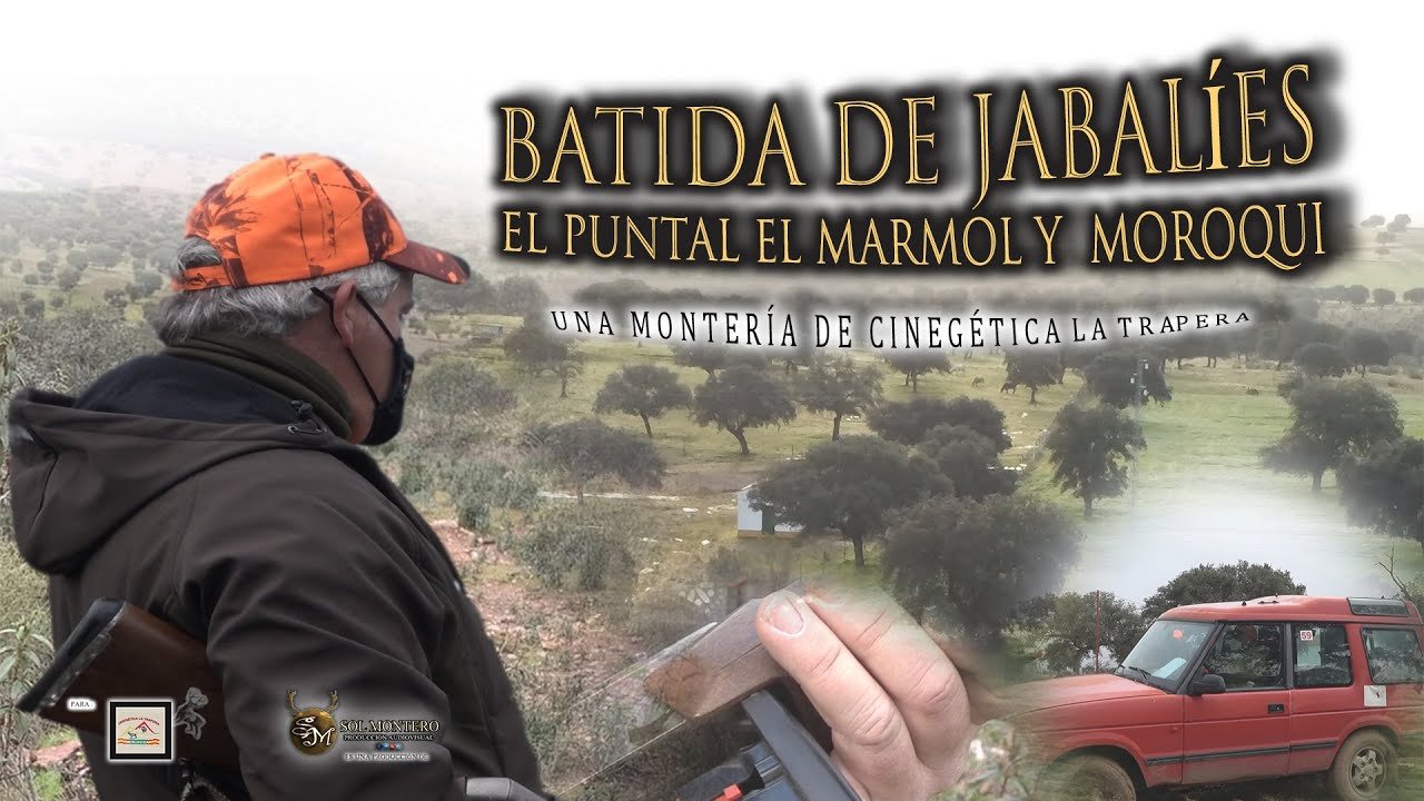 Batida De Jabalies Puntal Marmol Y Morroqui Con Cinegetica La Trapera Valsequillo 23 Enero 2021
