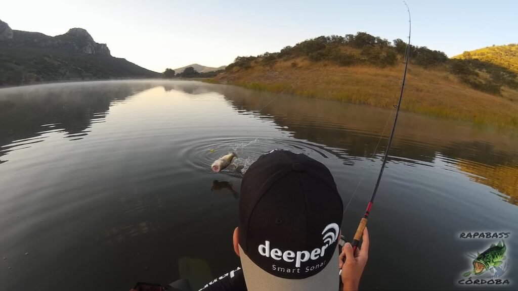 Black Bass a superficie | HD