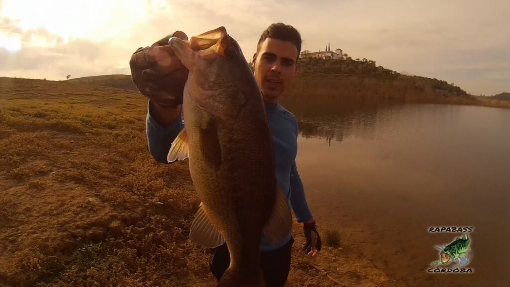 Black Bass con paseante en Diciembre | HD