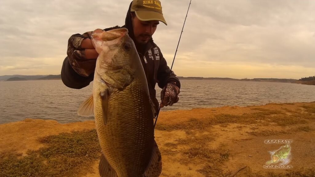 Black Bass desde orilla llegando el invierno | HD