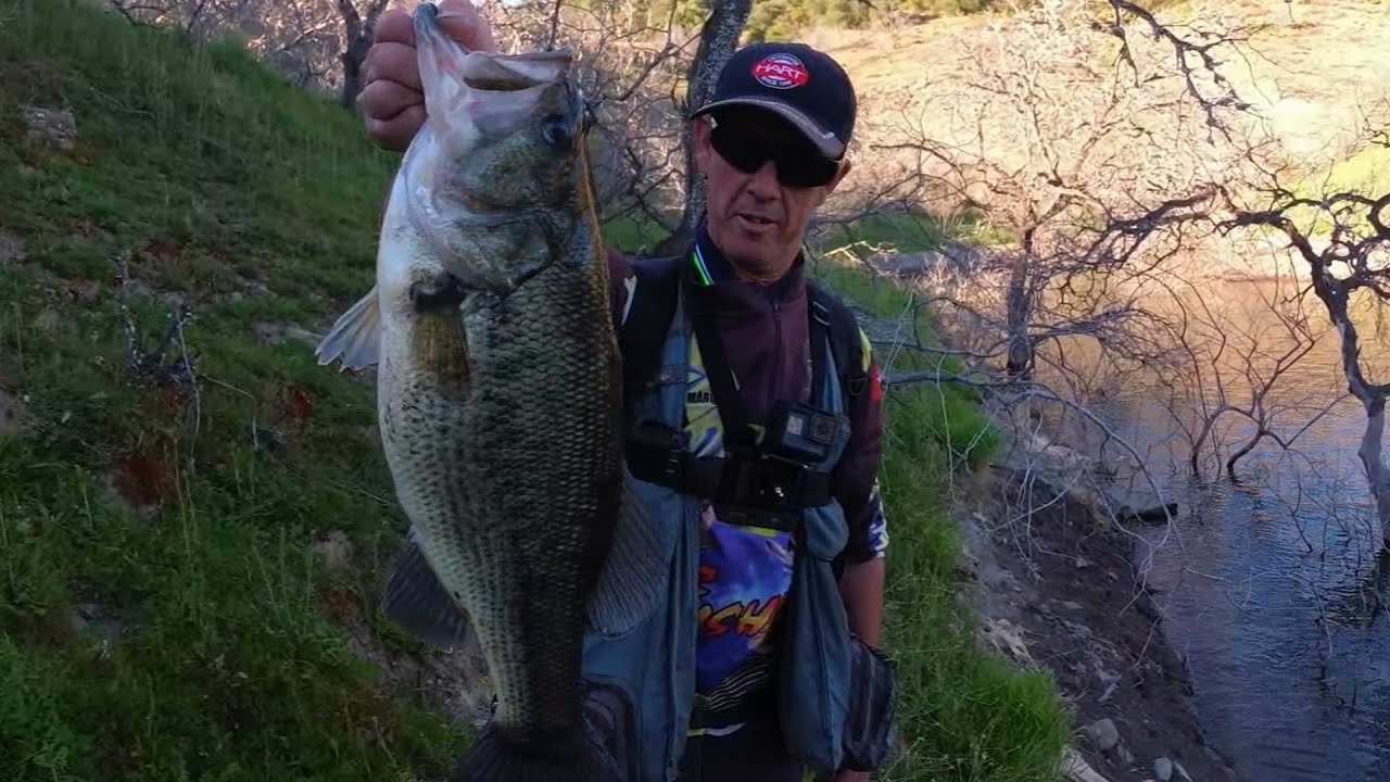 BLACKBASS en prefreza