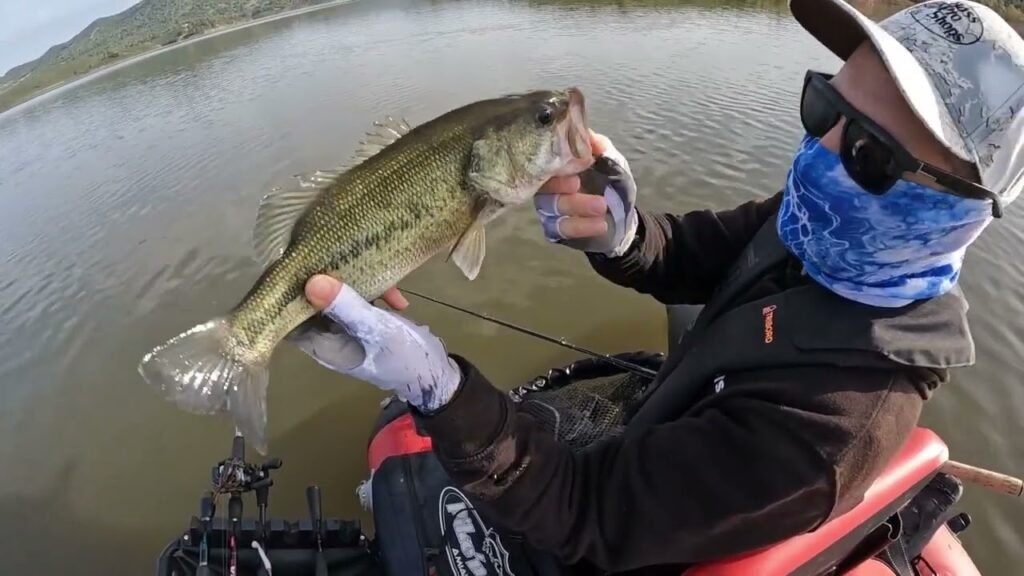 Blackbass en primavera...Aguas tomadas. Probamos el nuevo chatterbaits TRUENO de Destructorbaits.