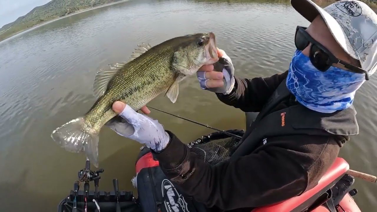 Blackbass en primavera...Aguas tomadas. Probamos el nuevo chatterbaits TRUENO de Destructorbaits.