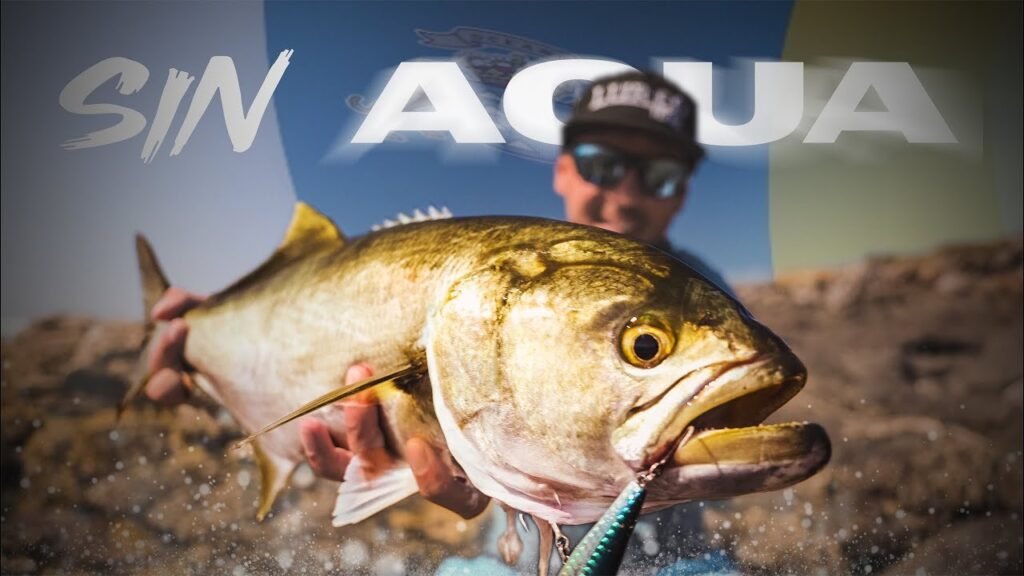 Buscando PECES GRANDES en zonas SIN Profundidad [Spinning MEDIO] | Lured Vlog 307