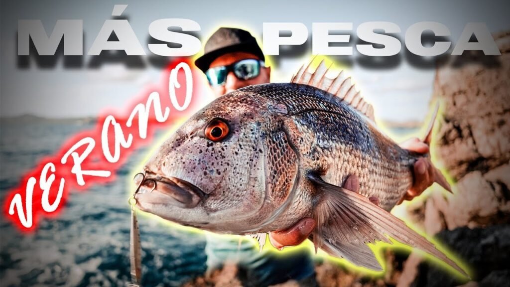 CAPTURA MÁS PECES en VERANO [5+1 Tips]