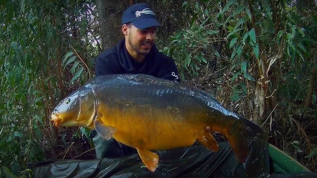 Carp river extrem | HD