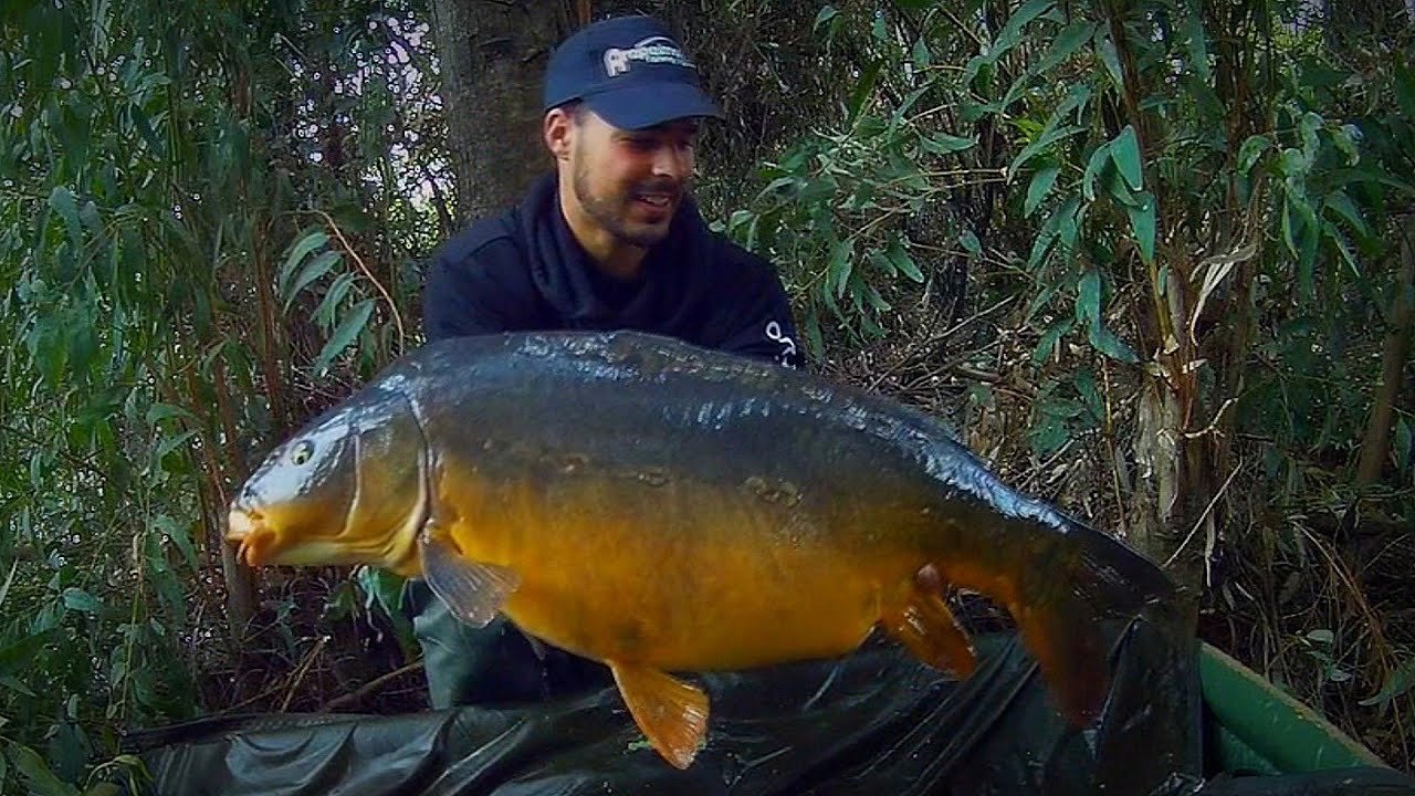 Carp river extrem | HD