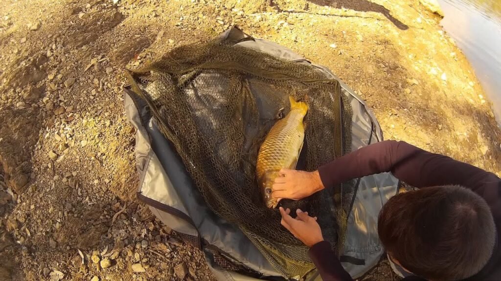 Carpfishing en Guadanuño | HD