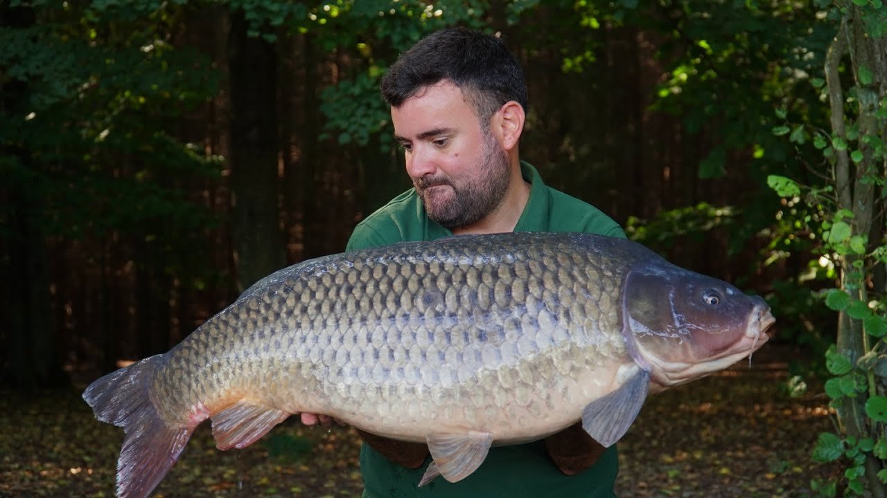 Carpfishing en Katlov Lake | PARTE I