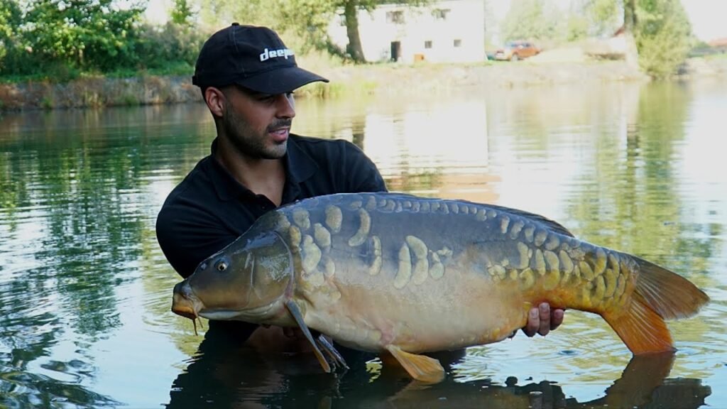 Carpfishing en Katlov Lake | PARTE II