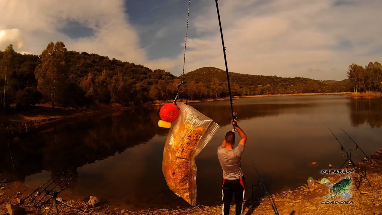Carpfishing en Octubre | HD