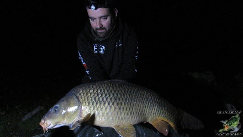 CARPFISHING EN ORELLANA 2.0 | HD