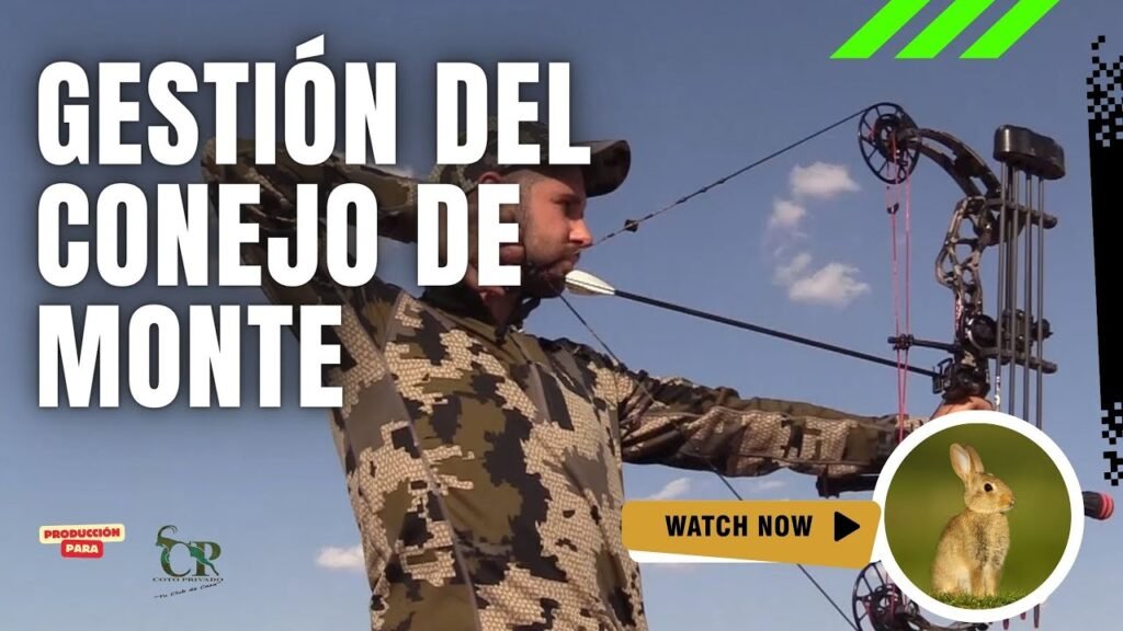 Caza Con Arco Gestion Del Conejo De Monte