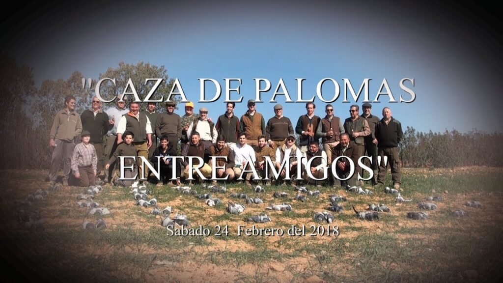 CAZA DE PALOMAS ENTRE AMIGOS /  HUNTING OF PIGEONS AMONG FRIENDS