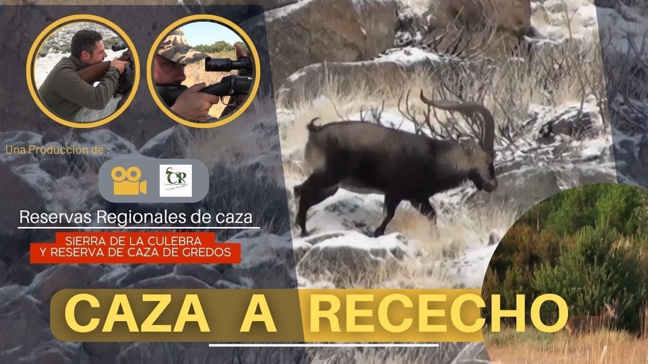 CAZA EN RESERVAS REGIONALES DE CAZA , PARAISOS DEL RECECHO