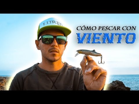 CLAVES para pescar con VIENTO
