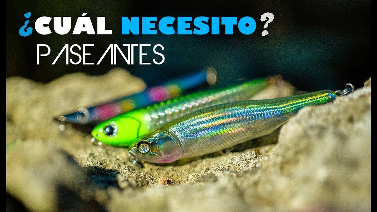 Cómo ELEGIR SEÑUELO de PESCA SPINNING [Paseante WTD]