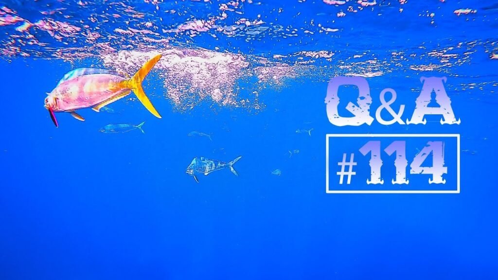 ¿Cómo ESCOGER LUGAR de PESCA? ¿Se PERDERÁ la PESCA? ¿DIFERENCIAR SÓLIDA vs TUBULAR? | Lured Q&A #114
